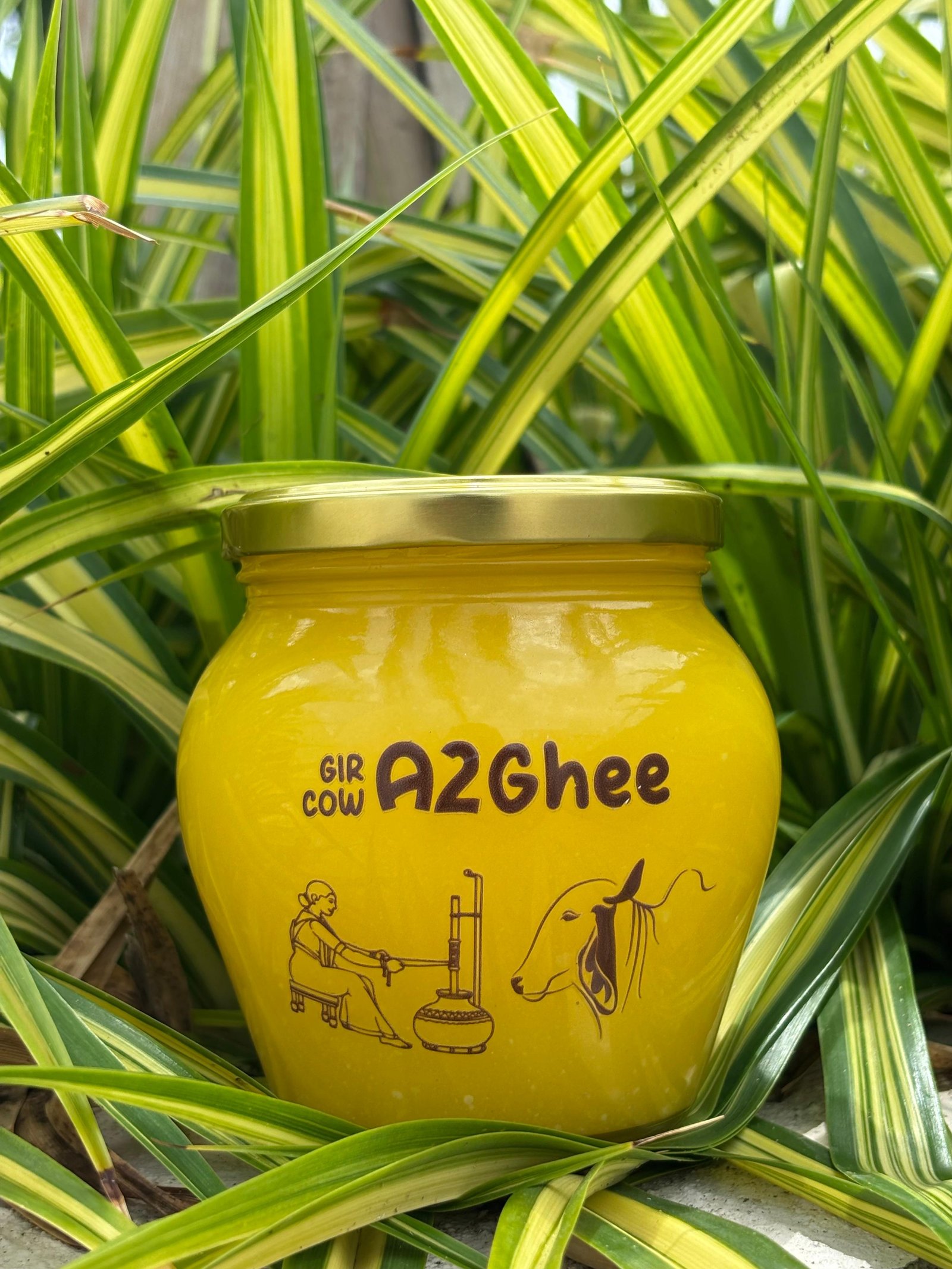 Ways to Enjoy NIDHI ORGANICS Gir Cow A2 Ghee