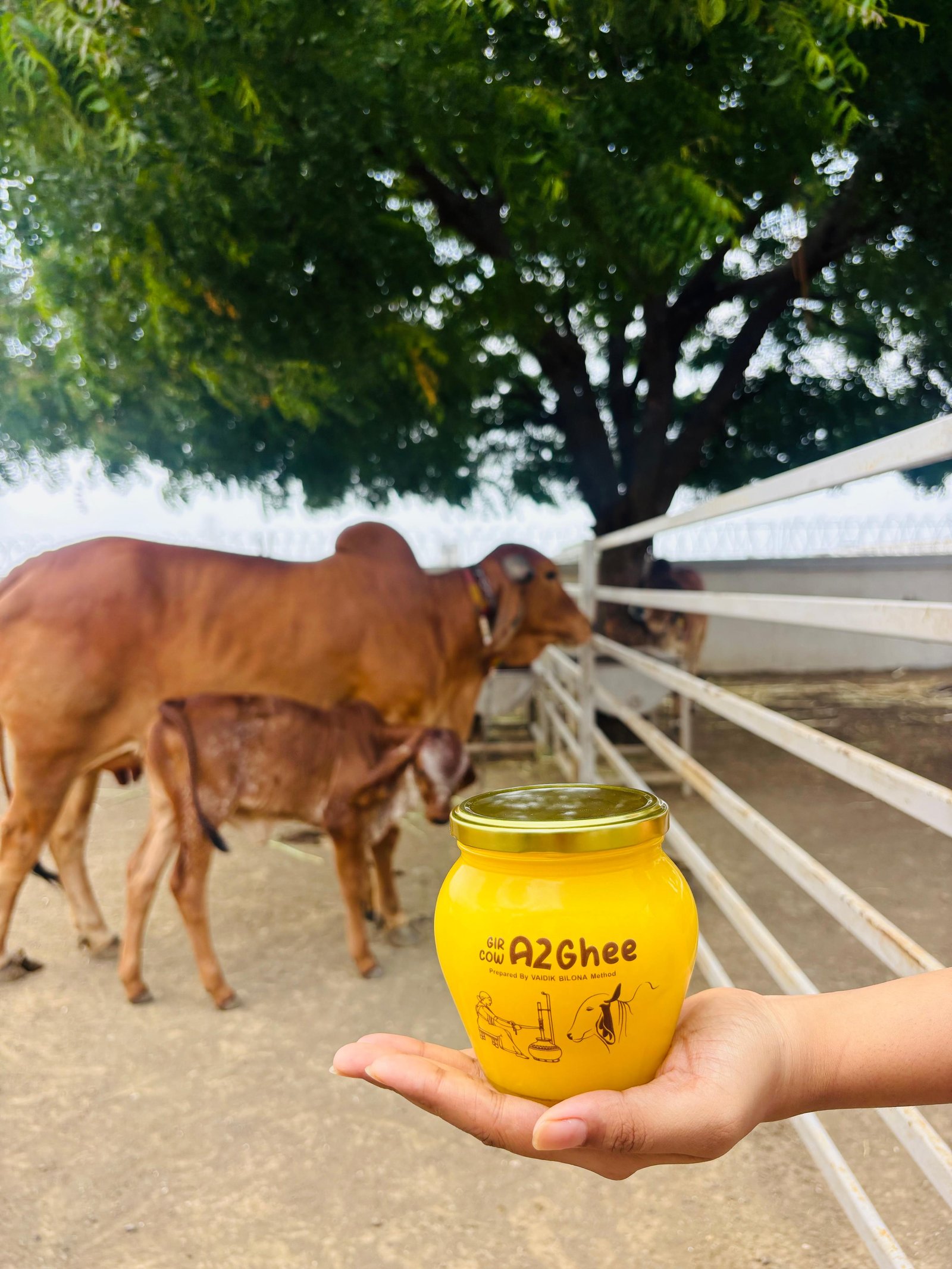 What Makes Nidhi Organics Gir Cow A2 Ghee So Special?